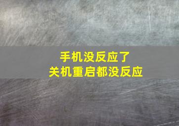 手机没反应了 关机重启都没反应